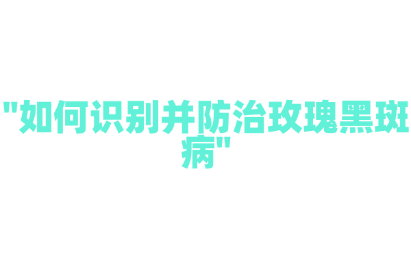 "如何识别并防治玫瑰黑斑病"
